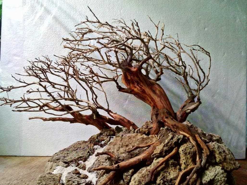 Akar Bonsai