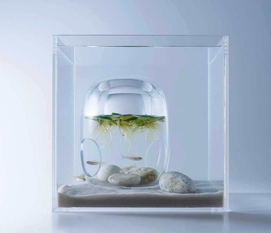 Aquarium Minimalis Bergaya Modern dan Simpel