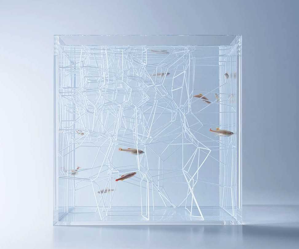 Aquarium Minimalis Model Waterscape