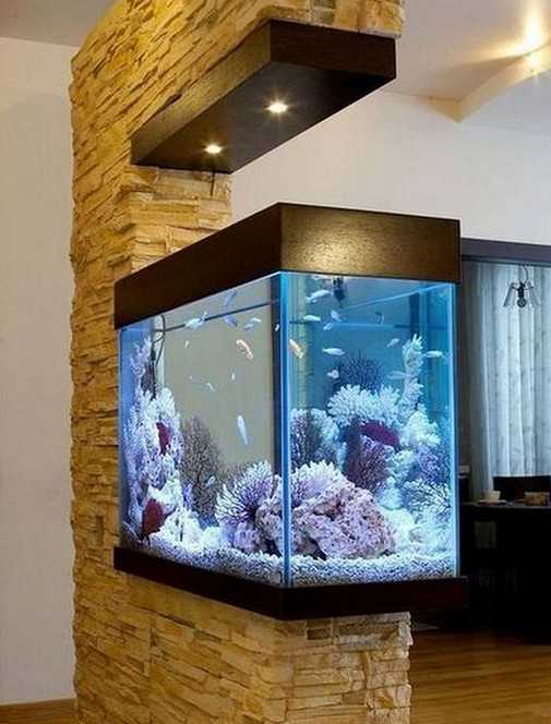 Desain Aquarium Minimalis dalam Dinding