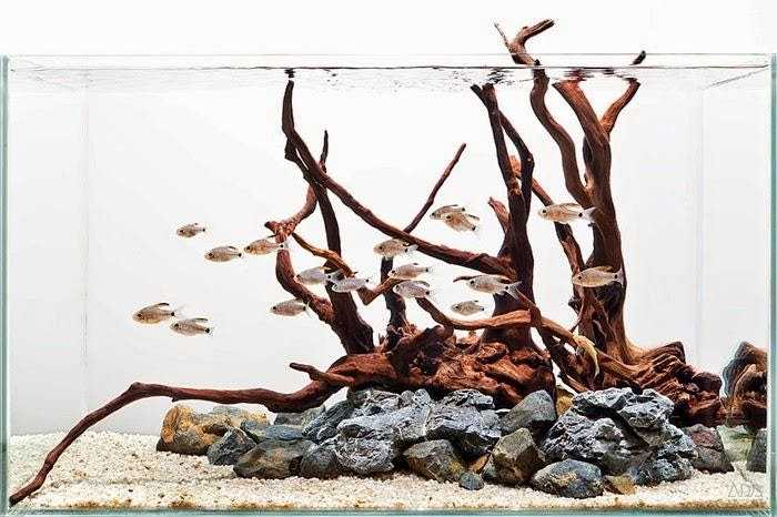 Driftwood Artifisial