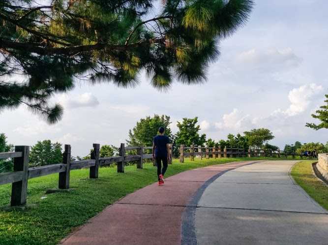 Fasilitas Jogging Track