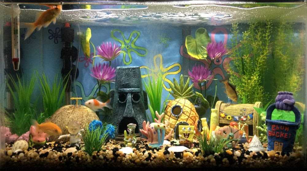 5100 Dekorasi Aquarium Air Tawar Terbaru