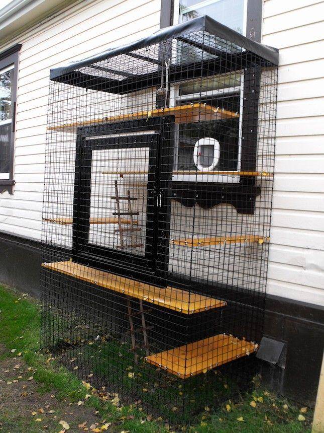 13 Cool Catios for Your Feline Friend | Cat enclosure, Outdoor cat enclosure,  Diy cat enclosure