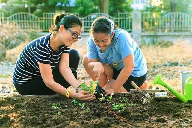 Manfaat Berkebun