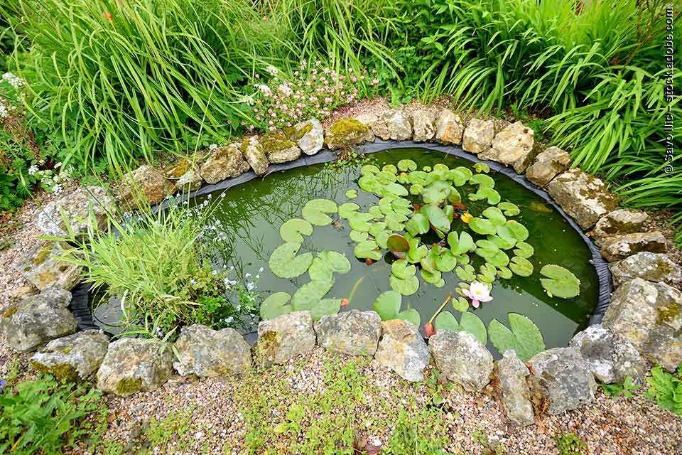 Natural Water Garden