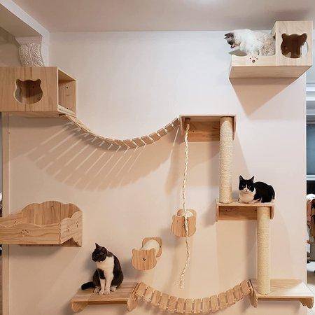 Wall Mounted Cat Shelf Handcrafted Wooden Cat Step Bed House, Cat Bed, Cat  Furniture, Cat Perch, Cat Tree, Cat Shelves, Pine | Walmart Canada