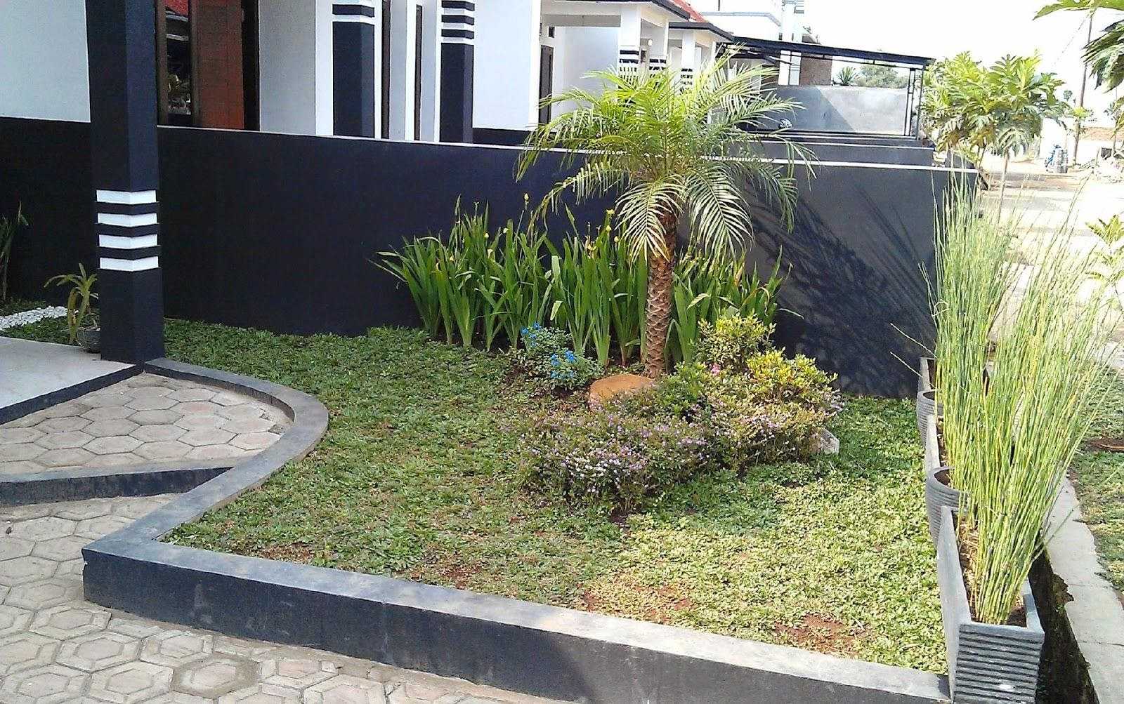 Taman Depan Rumah Sederhana