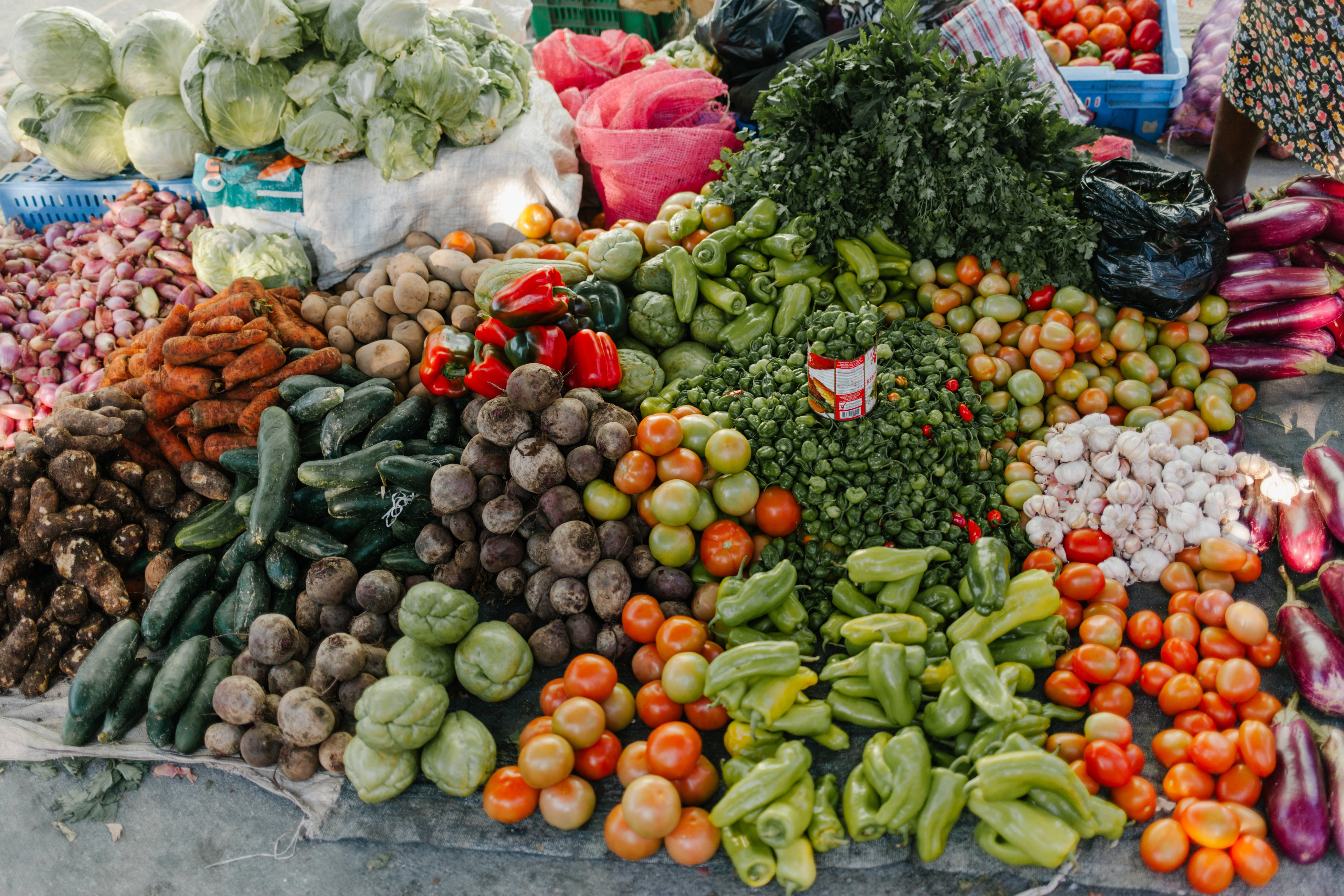 Kenali Manfaat Sayur Organik Yang Berguna Bagi Kesehatan!