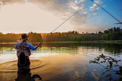 7 Tips Memancing di Kolam Pemancingan Biar Banyak Dapat Ikan