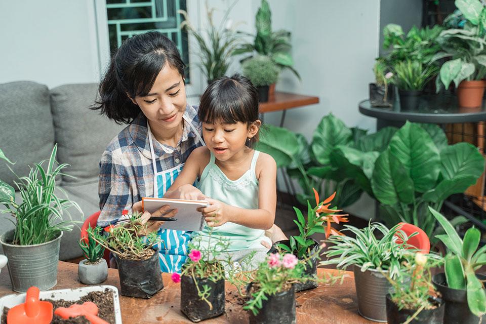 Seru dan Menyehatkan, Ini 5 Tips Berkebun di Halaman Rumah